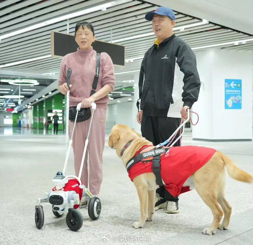 AI同传上线所有耳机都能用苹果「眼球追踪」专利曝光新葡京博彩GPT-52调用破万亿但遭大量差评谷歌(图12)